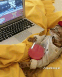 Resized95821195giphy9530pM44ynnVOGHOIT7x95fixed95width001