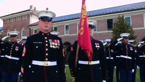 Marine Corps Birthday GIF by Storyful