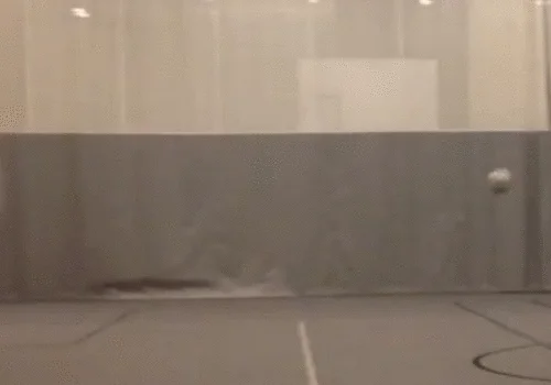 Bubble Boy Lol GIF by America's Funniest Home Videos